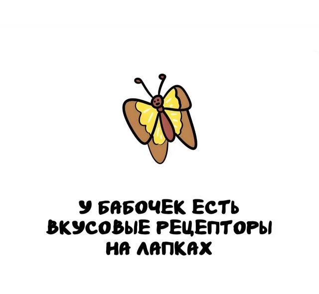 Разнообразные факты, чтобы удивлять в любой компании