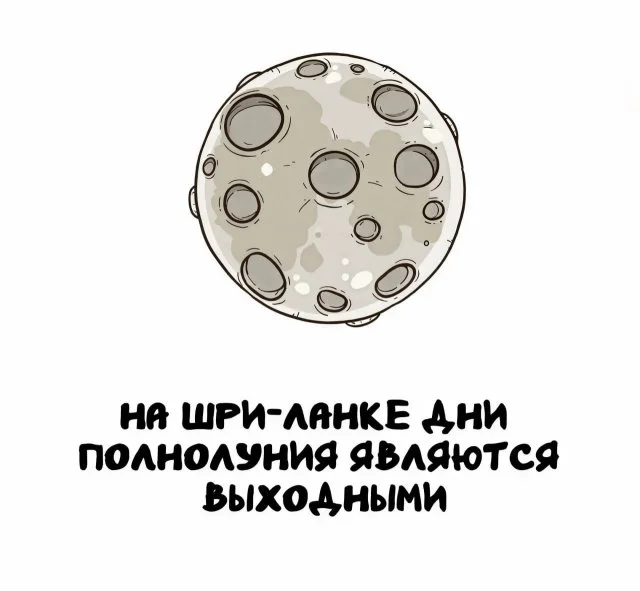 Любопытные мелочи обо всём на свете