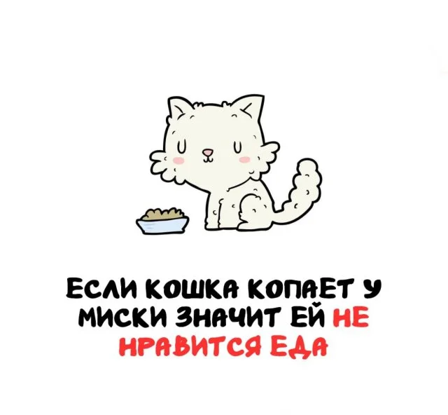 Знания на каждый день: удивительные факты