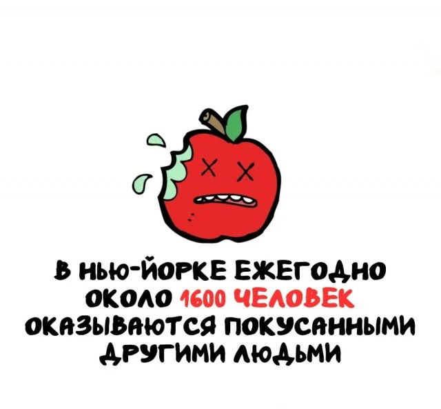 Факты на все случаи: от бытовых до неожиданных