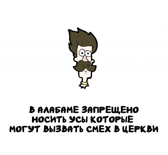 Факты, которые удивят и пригодятся в любой момент