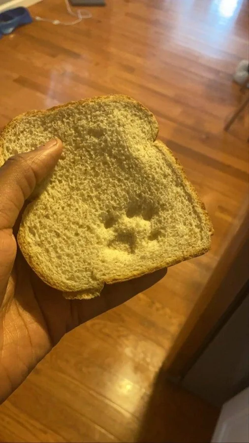 19 доказательств, что кот — главный в доме, а ты просто гость