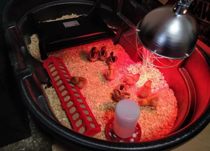 20 душевных снимков деревенской жизни, после которых захочется бросить город