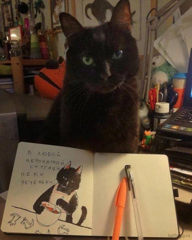 Кото-баяны