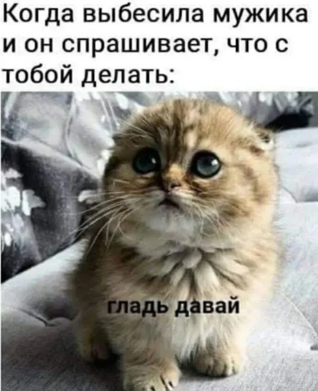 Кото-баяны