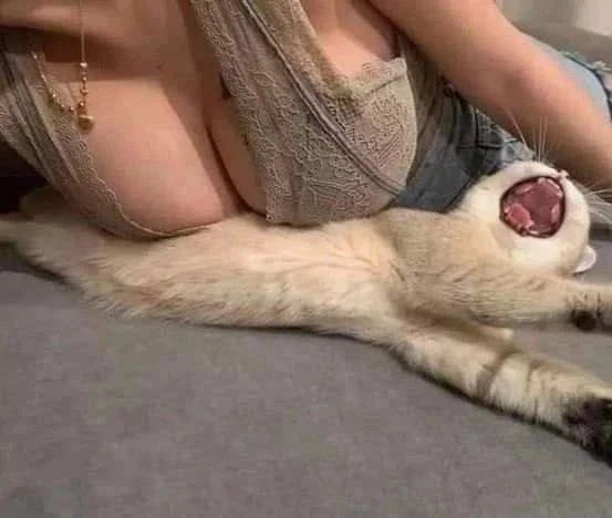 Кото-баяны