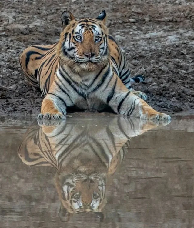 ФотоВинегрет