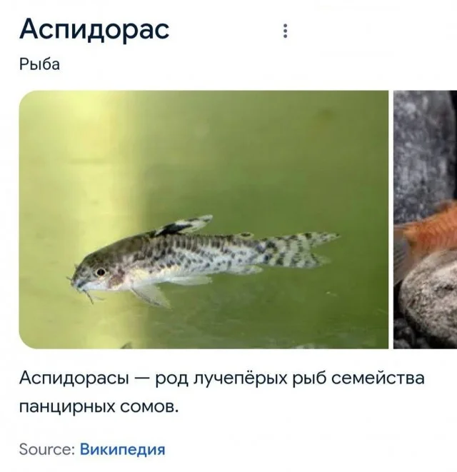 Смешные картинки! Смотрим!