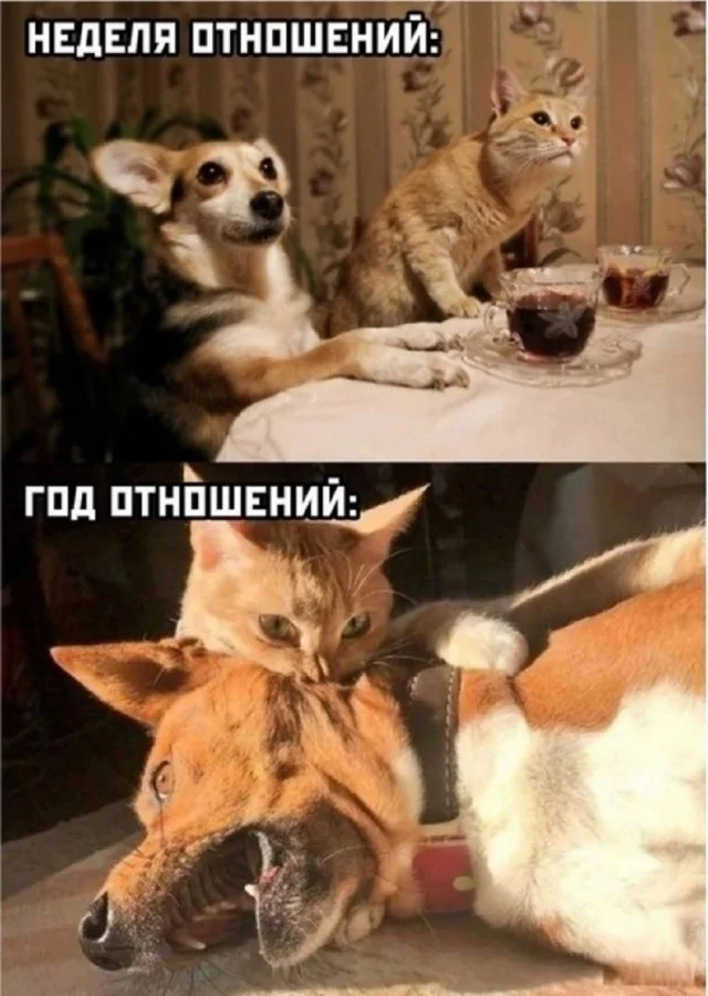 Кайфовые картинки