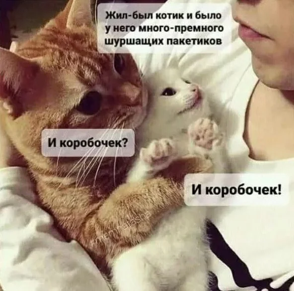 Кото-баяны