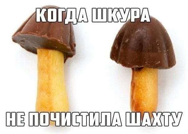 Дичь в картинках