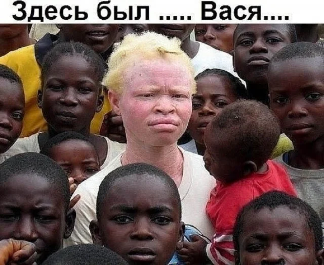 Свежо и смешно!