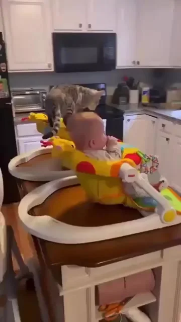 Я тоже ребёнок, дайте молока