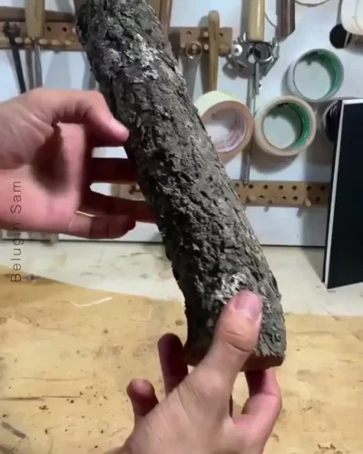 Красивые совы