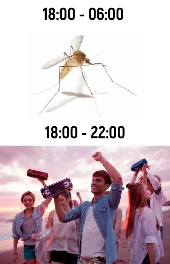 Расписание работ на лето