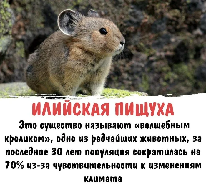 Интересная биология #83