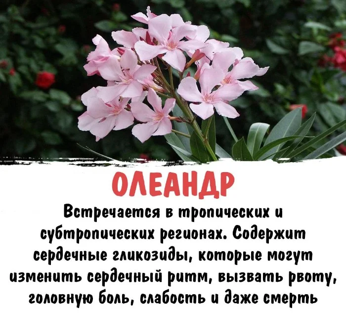 Интересная биология #85