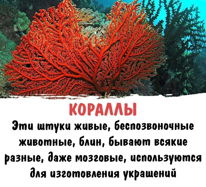 Интересная биология #86