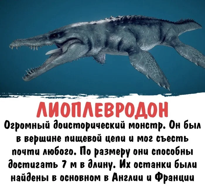 Интересная биология #88