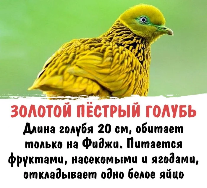 Интересная биология #90