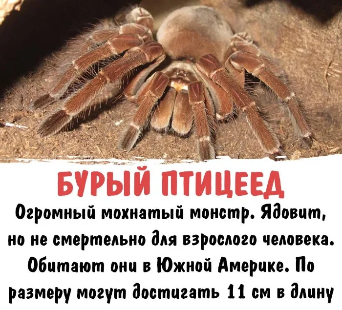 Интересная биология #93