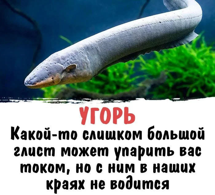 Интересная биология #93
