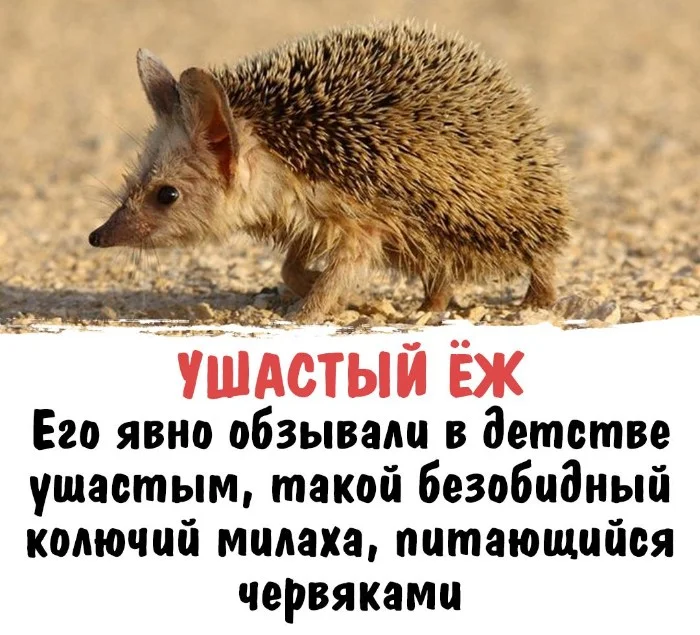 Интересная биология #95