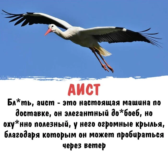 Интересная биология #96