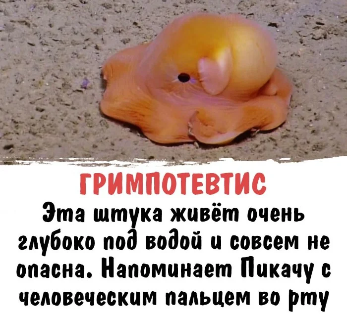 Интересная биология #97