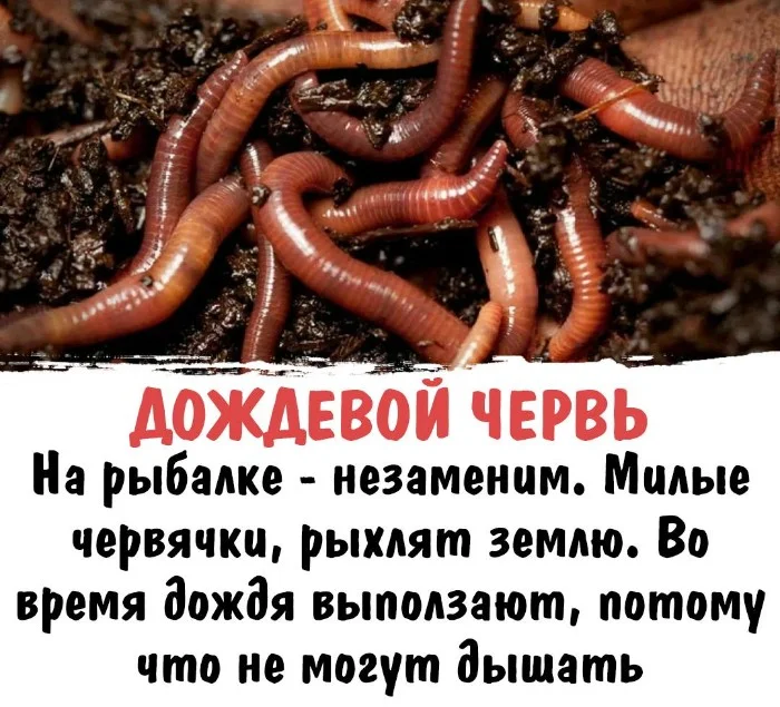 Интересная биология #98