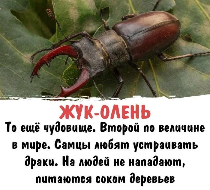 Интересная биология #99