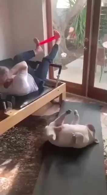 Худеем вместе