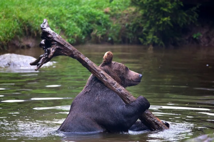 Подборка картинок на общую тему