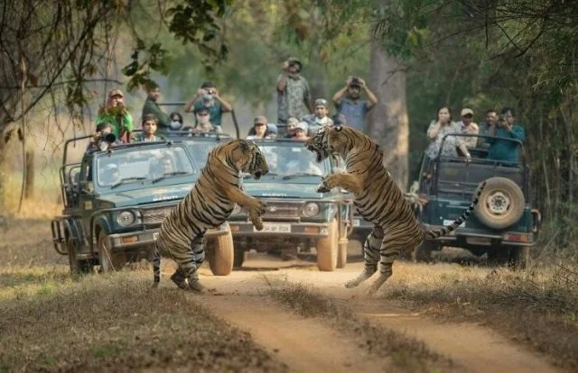 Намешалось: Красивые и интересные картинки