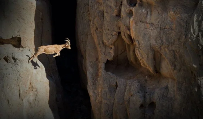 Взбалталось и намешалось