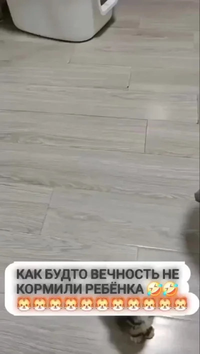 Звери , а не люди