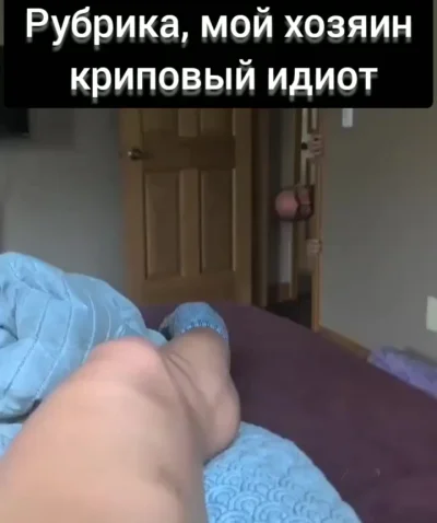 А потом жалуются собаки мол нервные