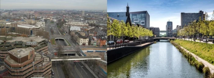 От городских джунглей к зелёному оазису