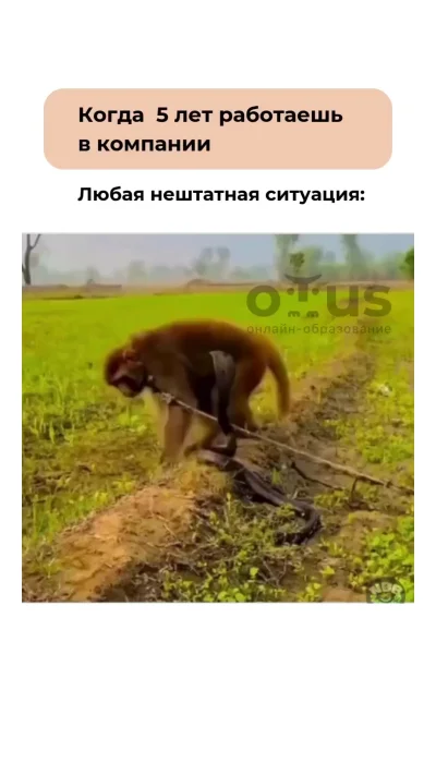 Опытный сотрудник