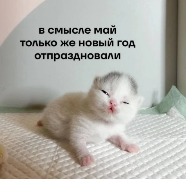 Смешные скрины из соцсетей #48