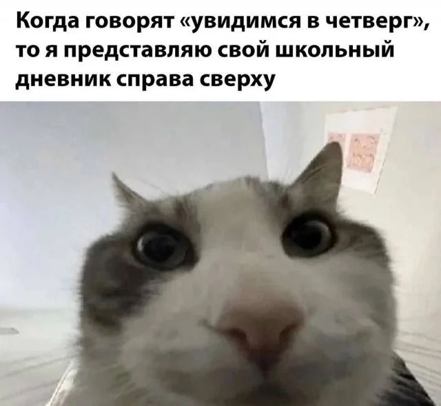 Смешные скрины из соцсетей #58