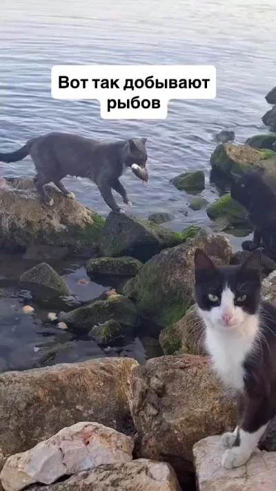 Отстоял своё