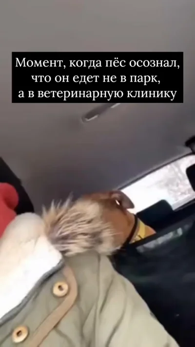 Как же так?!