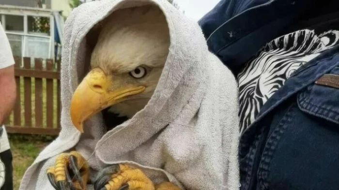 Получается всё вразнобой