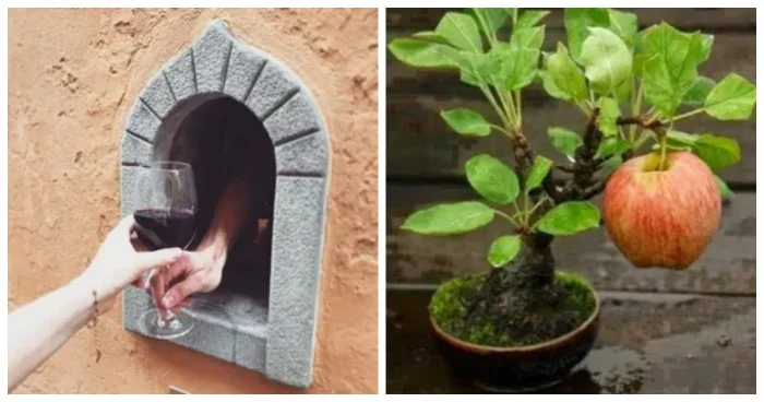 12 снимков с судьбой: истории, которые задевают сердце