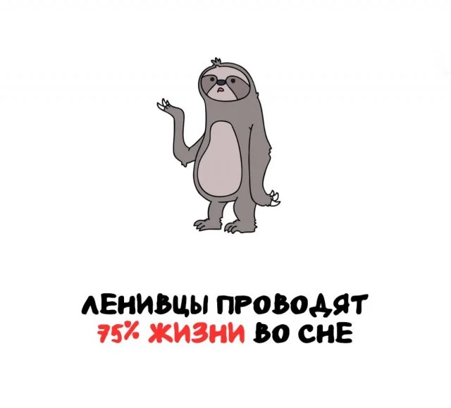 Универсальная подборка удивительных фактов