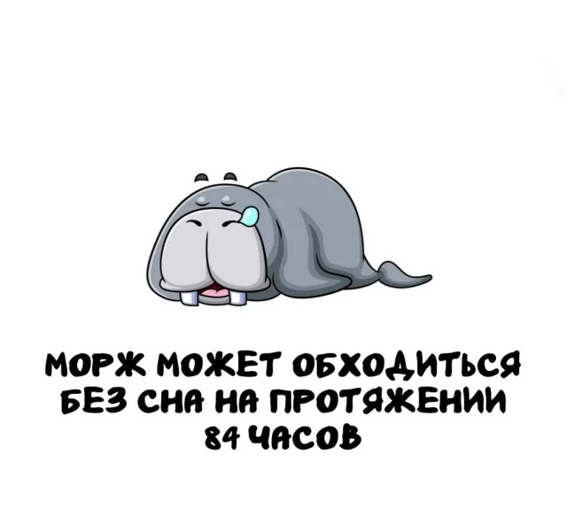 Факты, которые пригодятся в любой компании