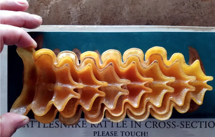 20 срезов, показывающих скрытую сторону привычных вещей