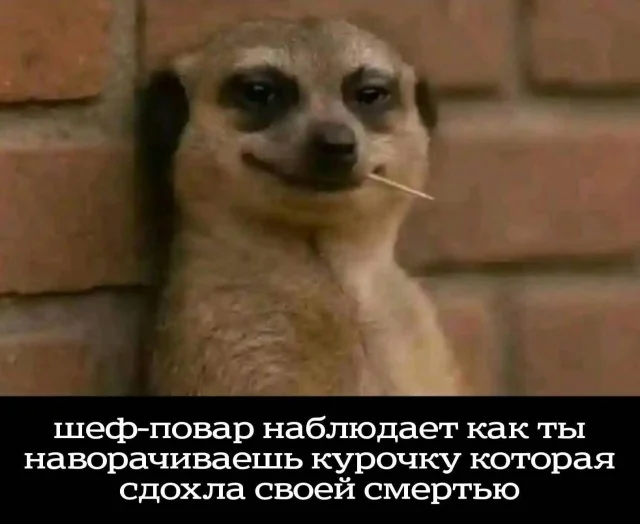 Кайфовые приколы!