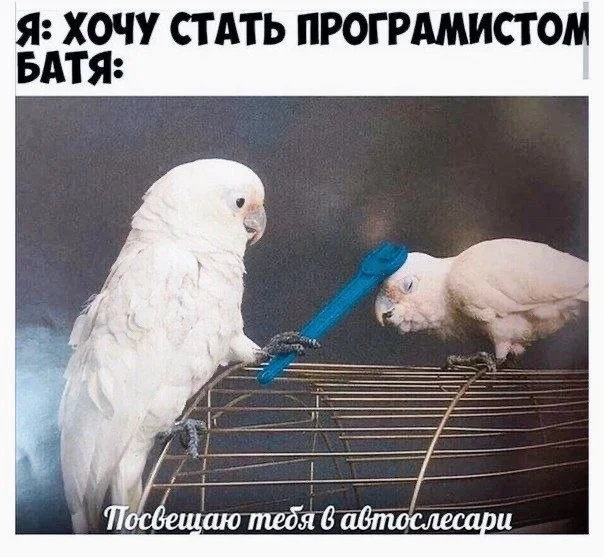 Картинки для настроения